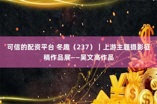 可信的配资平台 冬趣（237）｜上游主题摄影征稿作品展——吴文高作品