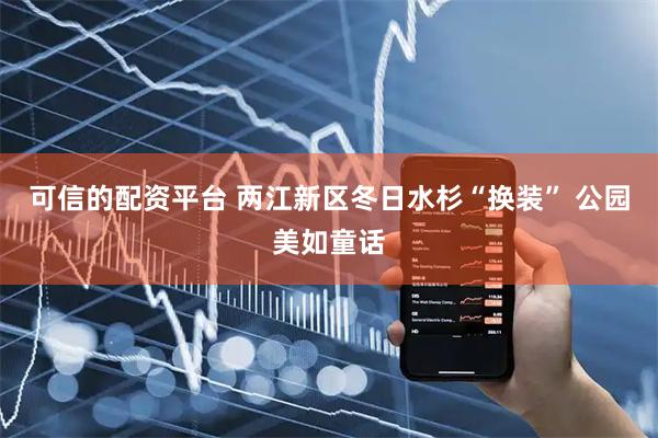 可信的配资平台 两江新区冬日水杉“换装” 公园美如童话