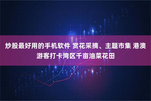 炒股最好用的手机软件 赏花采摘、主题市集 港澳游客打卡湾区千亩油菜花田