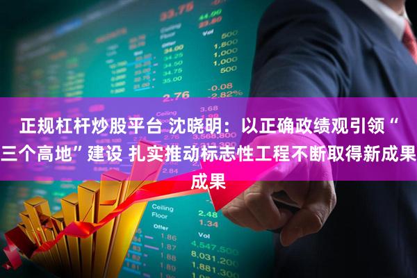 正规杠杆炒股平台 沈晓明：以正确政绩观引领“三个高地”建设 扎实推动标志性工程不断取得新成果